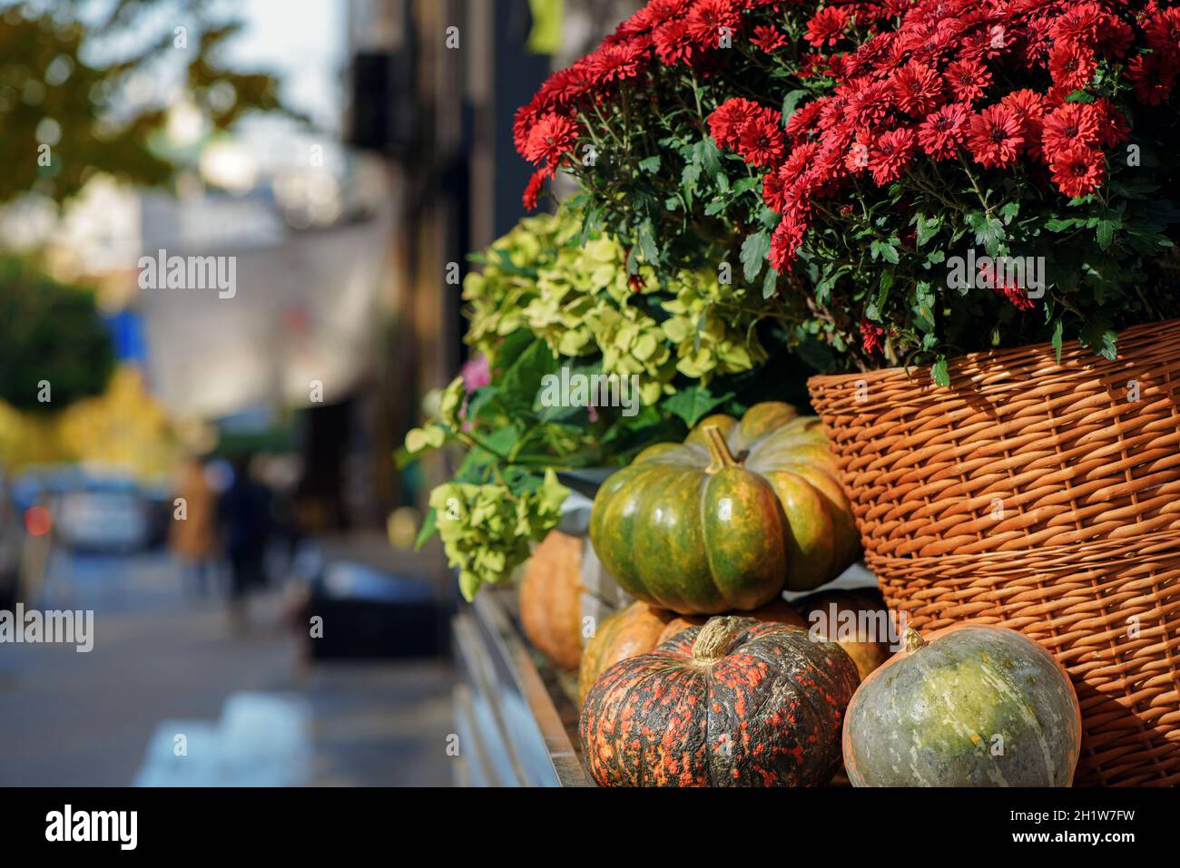 Decorazione autunnale con zucche e fiori in cesti di vimini vicino negozio di fiori sulla strada della città europea. Halloween e Thanksgiving vacanza concetto Foto Stock