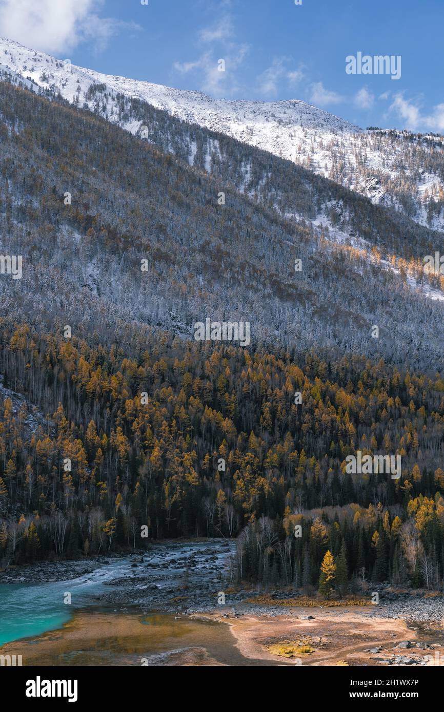 Paesaggio autunnale del fiume e della foresta a Kanas, provincia Xinjiang, Cina. Foto Stock