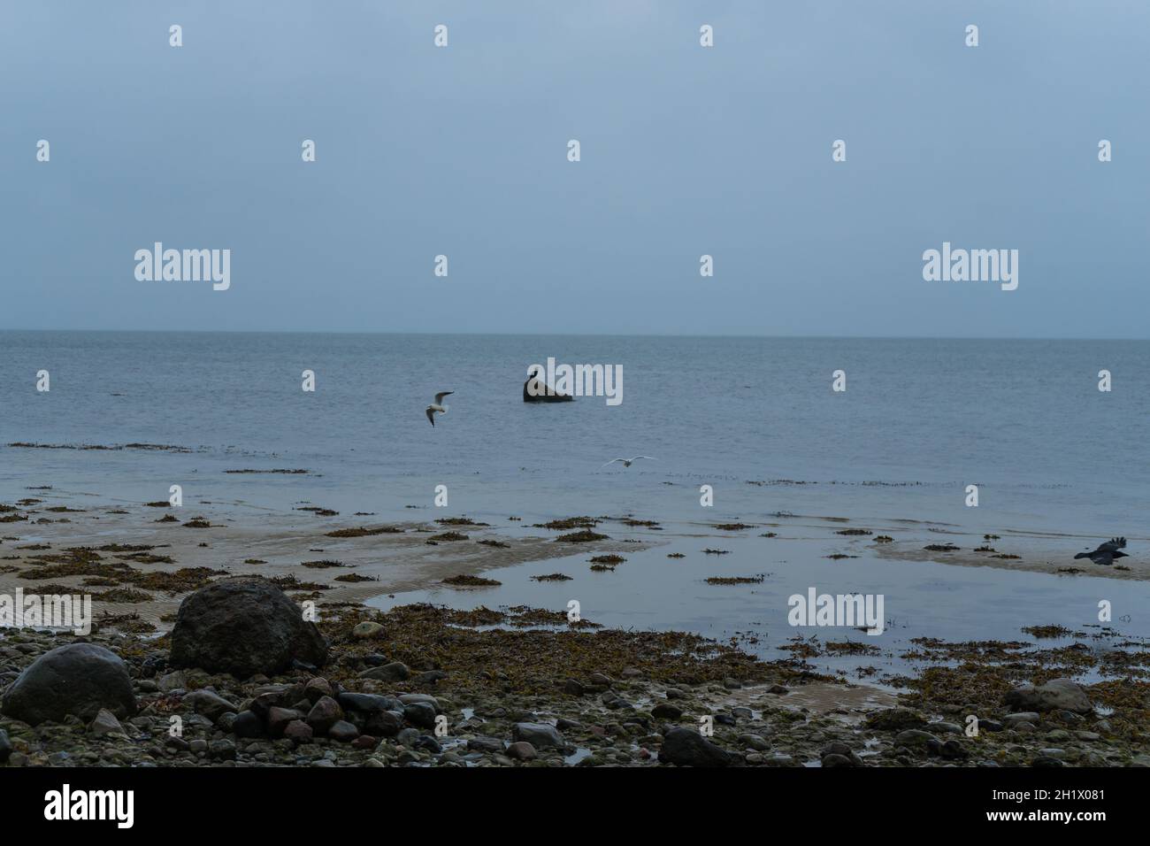 Spiaggia di Boltenhagen al mar baltico in autunno Foto Stock