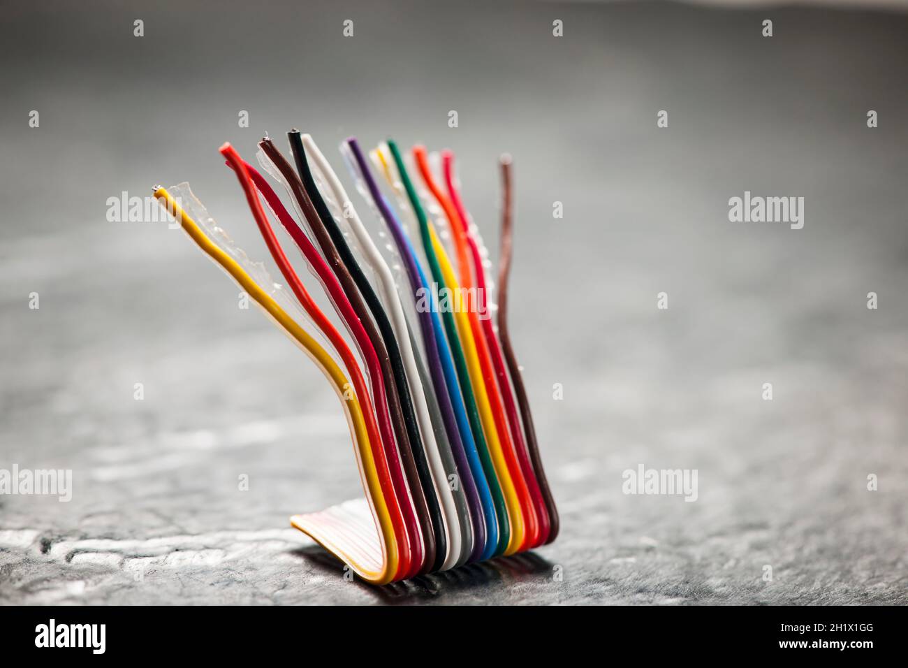 Primo piano di un cavo a nastro per computer corto, piegato e colorato su una superficie grigia ruvida con profondità di campo ridotta. Foto Stock