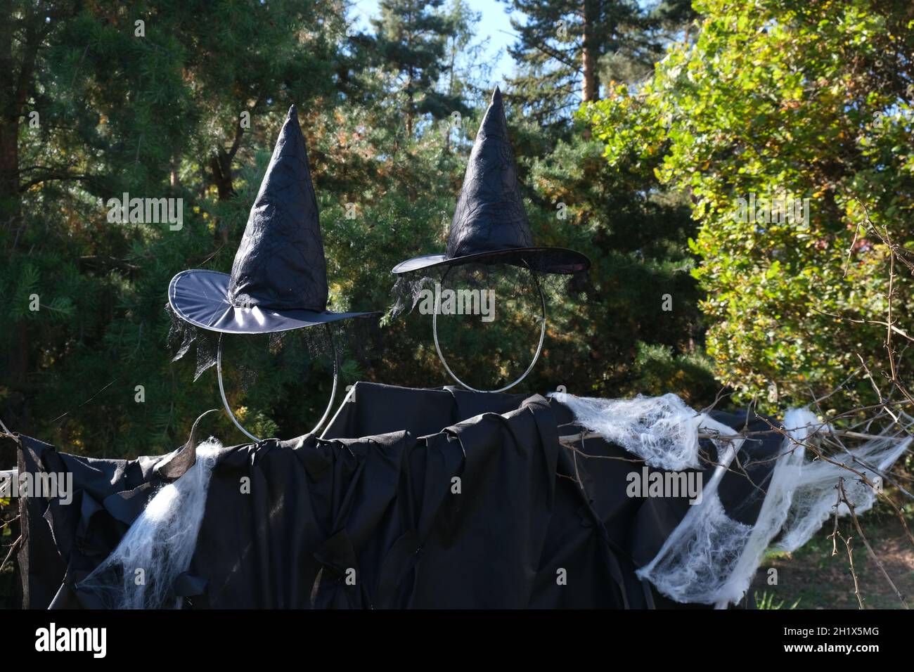 Festa di Halloween. Autunno Backgraund. Decorazione. Cappelli di halloween Foto Stock
