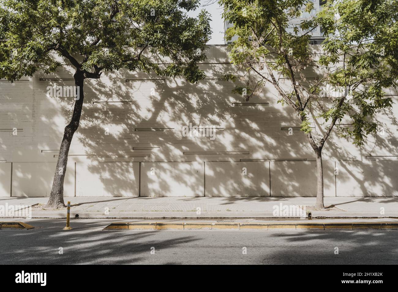 vista sulla strada della città con alberi. Risoluzione e foto di alta qualità Foto Stock