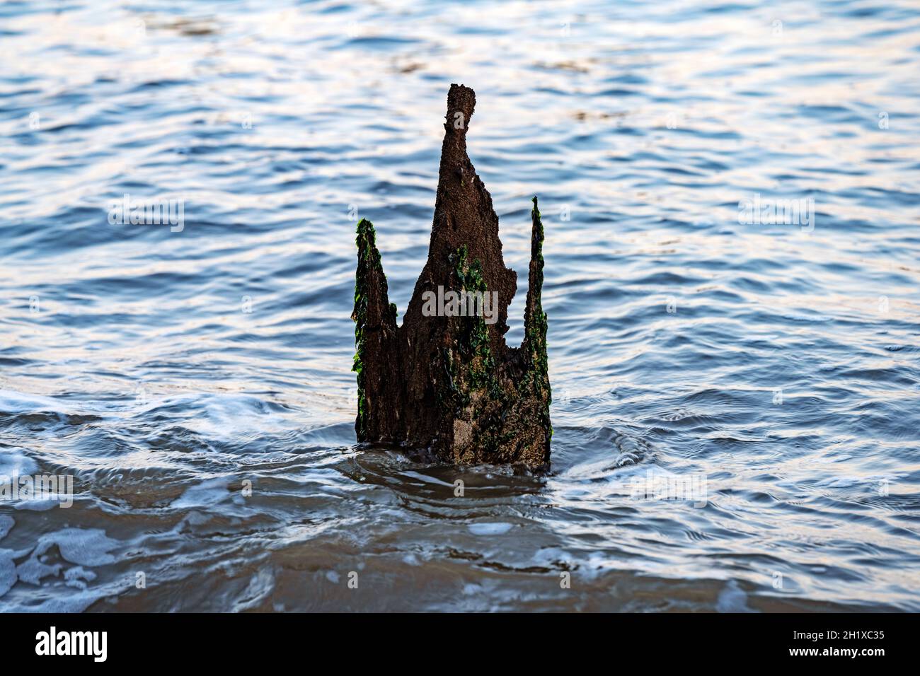 Eroso 120 anni di legno costiero difesa groynes Foto Stock