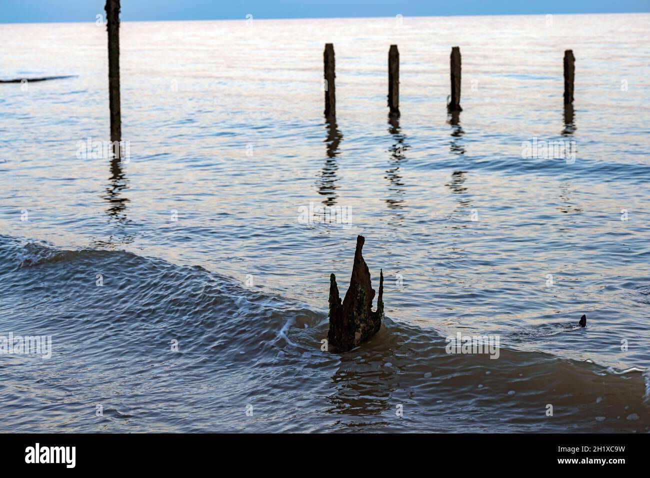 Eroso 120 anni di legno costiero difesa groynes Foto Stock