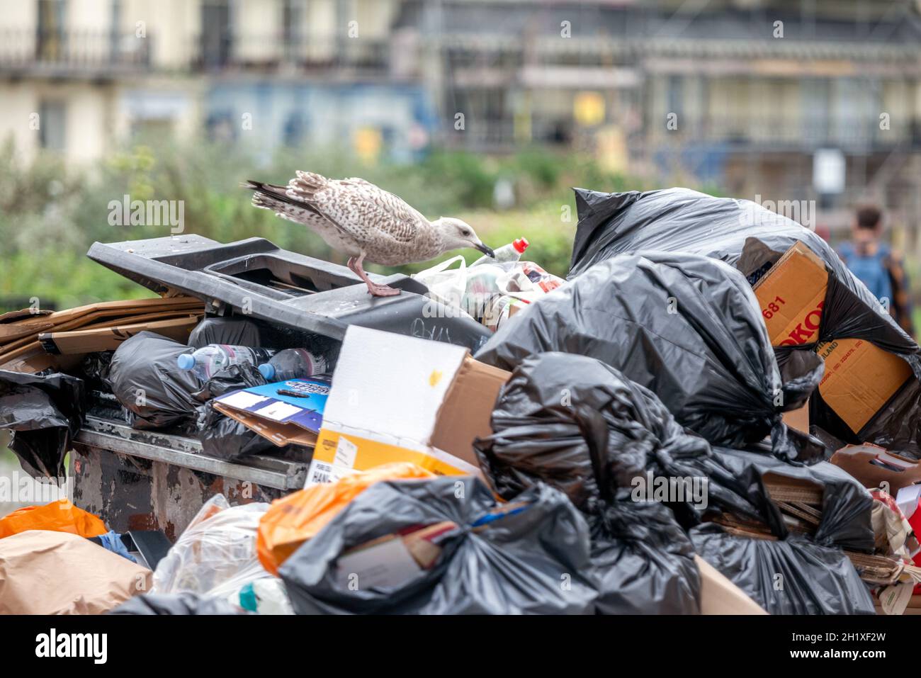 Brighton, 18 ottobre 2021: Lo sciopero dei raccoglitori di rifiuti di Brighton Foto Stock