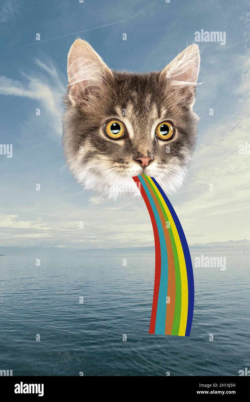 Collage d'arte contemporanea di gatto con arcobaleno che appare dalla bocca isolata su sfondo marino. Concetto LGBTQIA Foto Stock