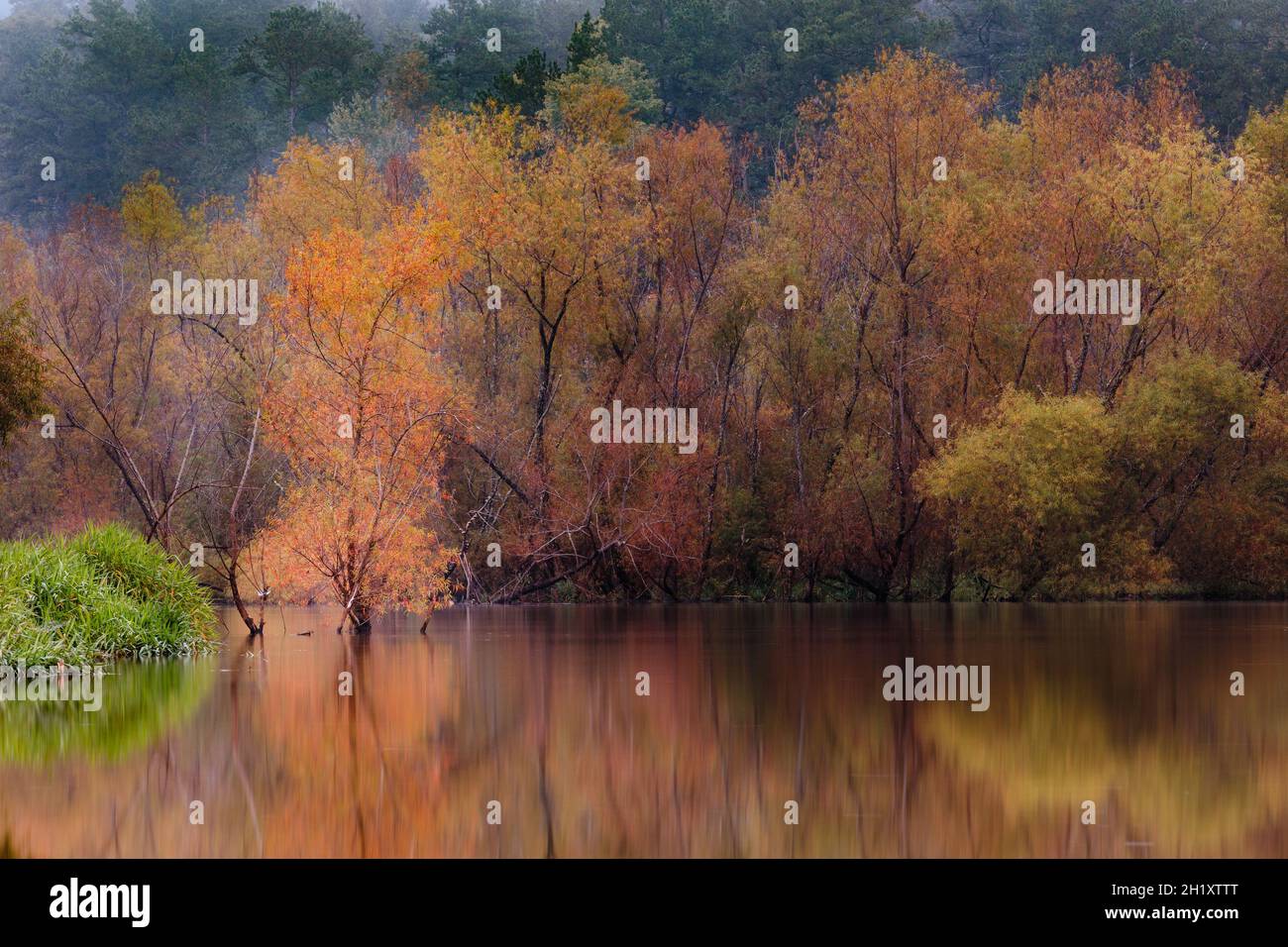 Foglie colorate in autunno sulla riva del fiume vicino al lago Lanier. Foto Stock
