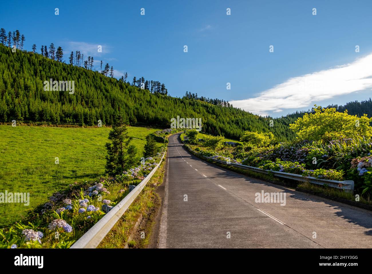 Strada tradizionale con il paesaggio verde e cielo nuvoloso blu nell'isola di São Miguel nelle Azzorre. Foto Stock