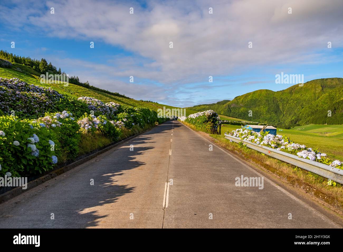 Strada tradizionale con il paesaggio verde e cielo nuvoloso blu nell'isola di São Miguel nelle Azzorre. Foto Stock