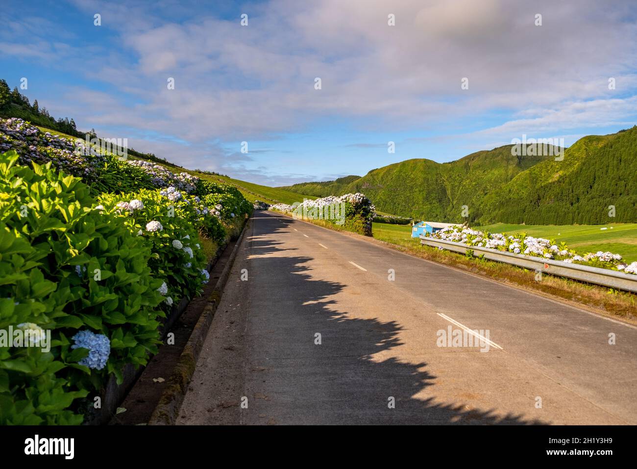 Tradizionale strada vuota con il paesaggio verde e cielo nuvoloso blu nell'isola di São Miguel nelle Azzorre. Foto Stock