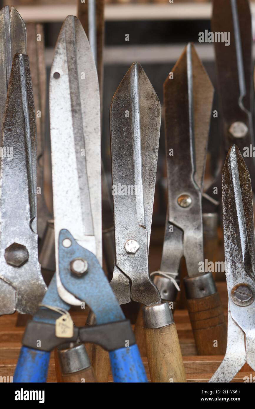 Cutting edge Foto Stock