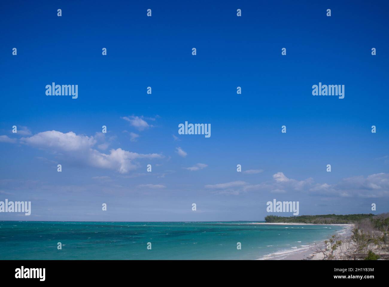Ammira l'incontaminata spiaggia di sabbia bianca circondata da alberi di mangrovie e attraversa il mare acquamarino sotto il cielo blu. Cayo Levisa, Pinar del Rio, Cuba. Foto Stock