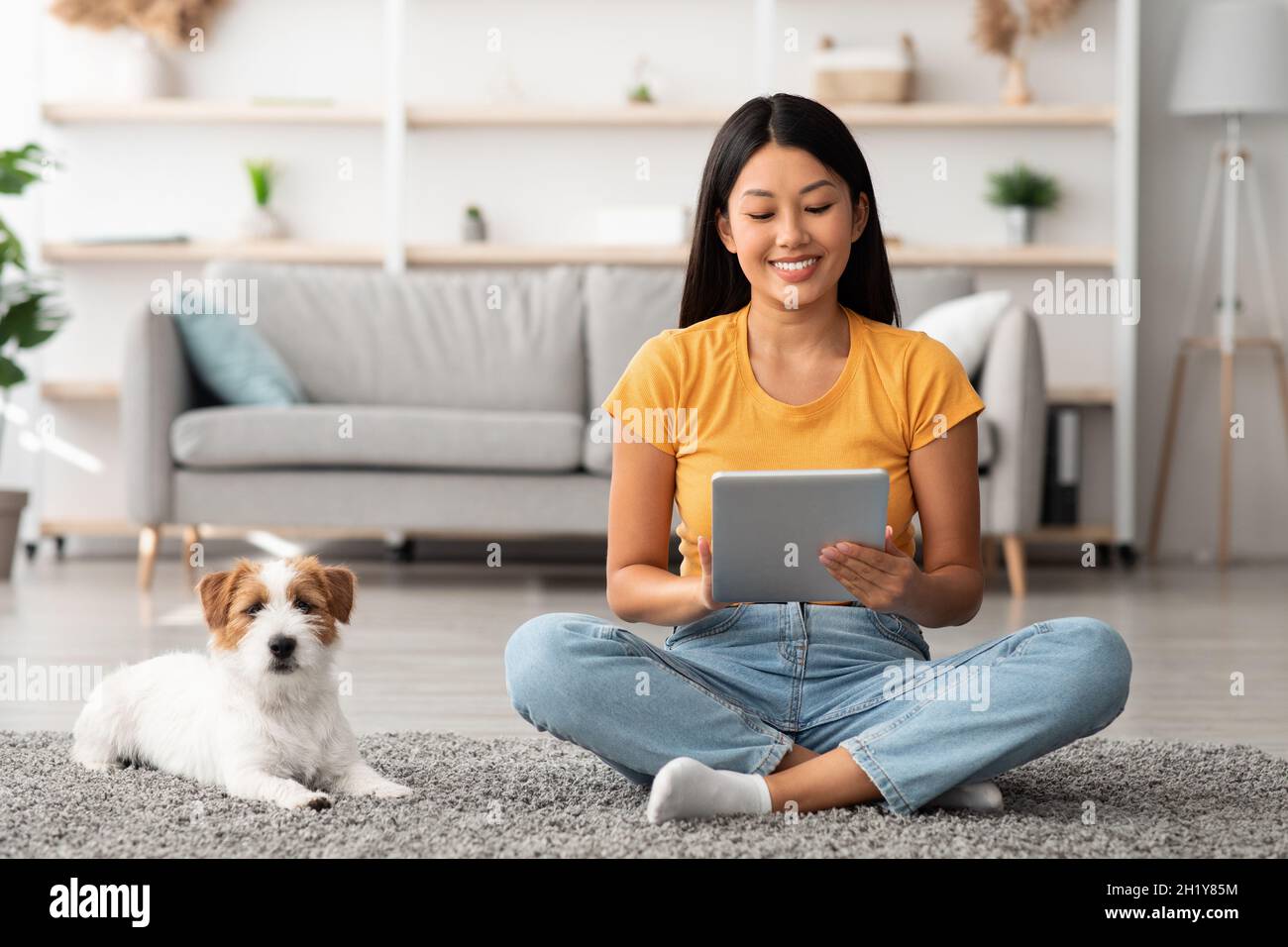 Graziosa donna cinese che guarda il blog del proprietario dell'animale domestico sul tablet digitale Foto Stock