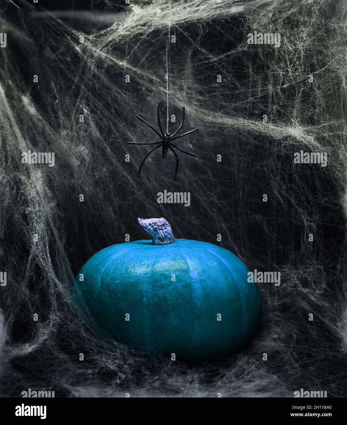 Zucca su sfondo bianco ragno web, halloween design. Foto Stock