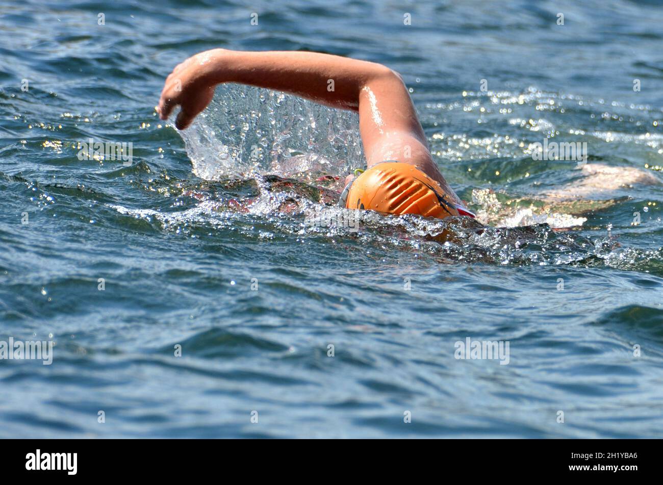 Schwimmbewerb beim Aqua-Duathlon a Gmunden am Traunsee (Salzkammergut) - gara di nuoto al duathlon aqua a Gmunden am Traunsee (Salzkammer Foto Stock