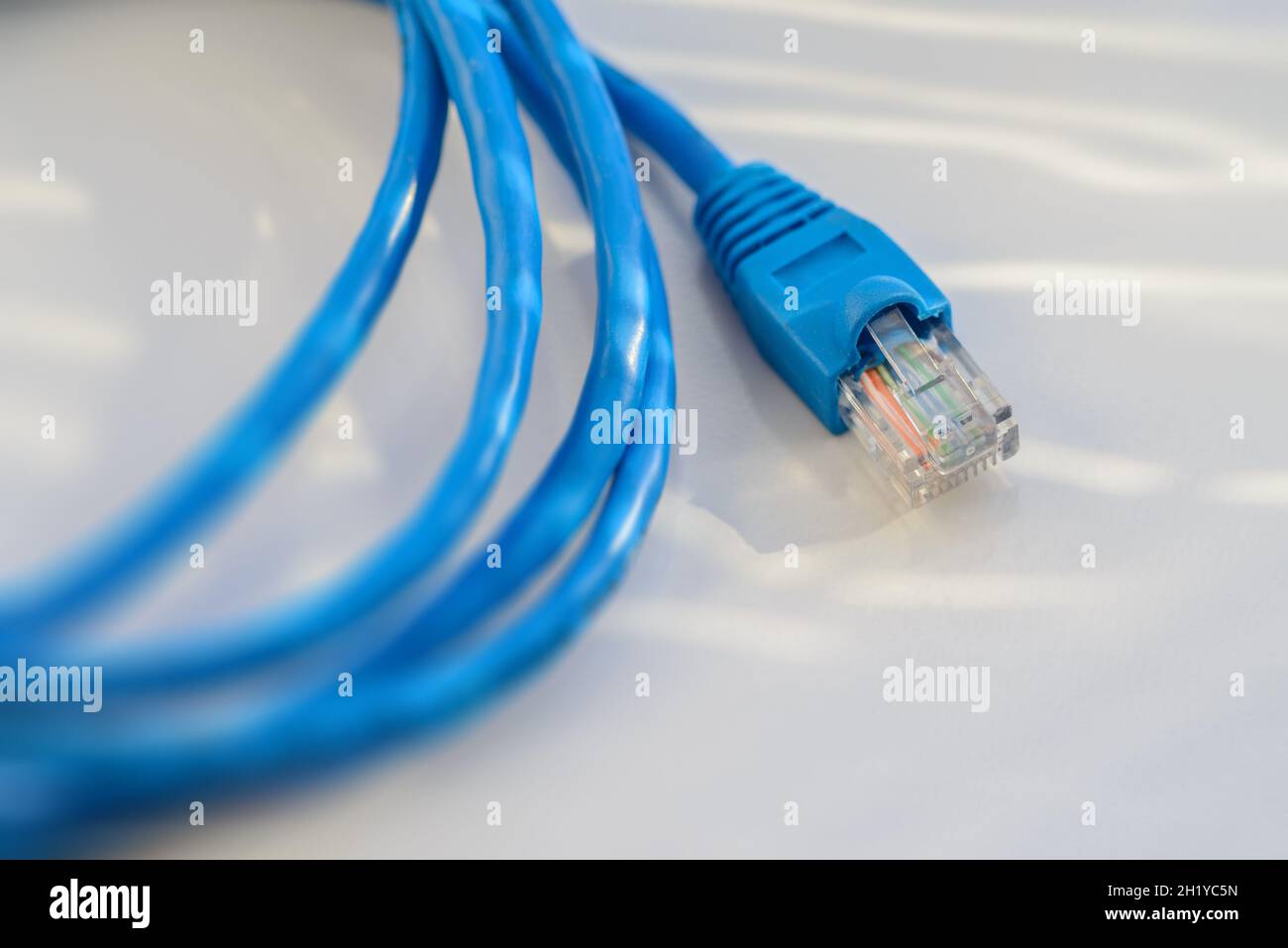 Collegare la rete. Scatto macro con profondità di campo poco profonda. Foto Stock