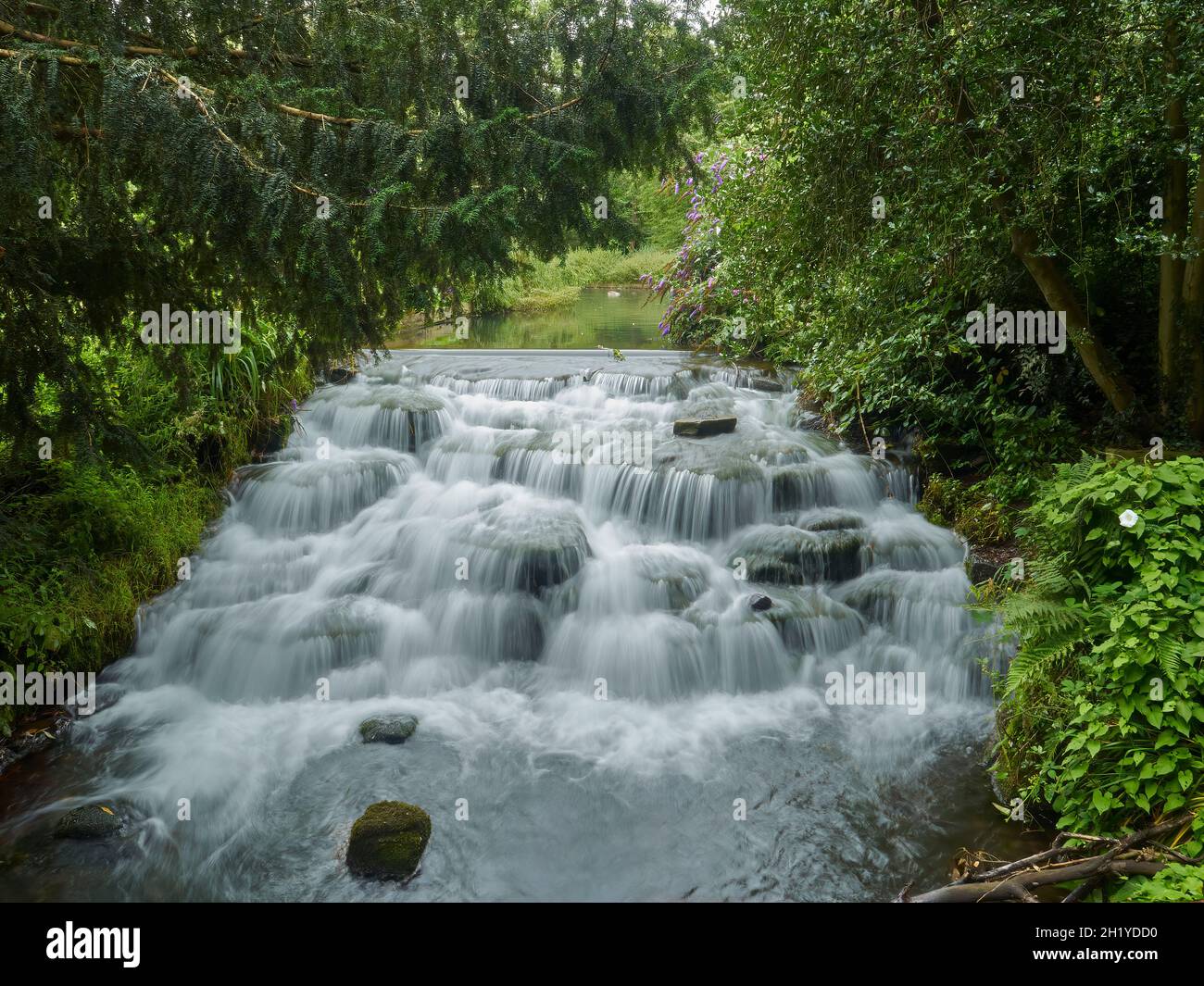 Una piccola cascata a più livelli circondata da alberi in un parco suburbano, presa con un otturatore lento per catturare la sussurrazione dell'acqua che cade. Foto Stock