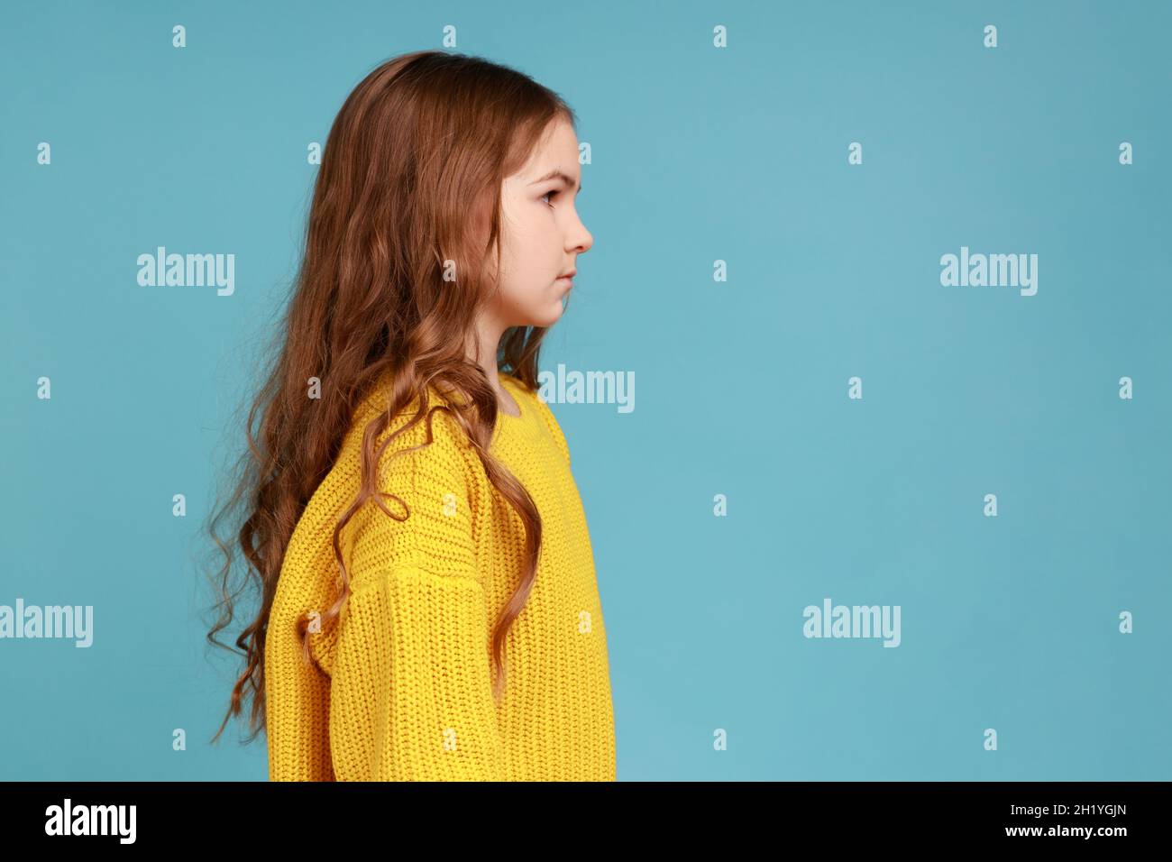 Ritratto laterale di ragazza piccola brossy seria e intelligente con capelli ondulati scuri che guardano dritti, indossando un pullover giallo casual. Studio interno girato isolato su sfondo blu. Foto Stock