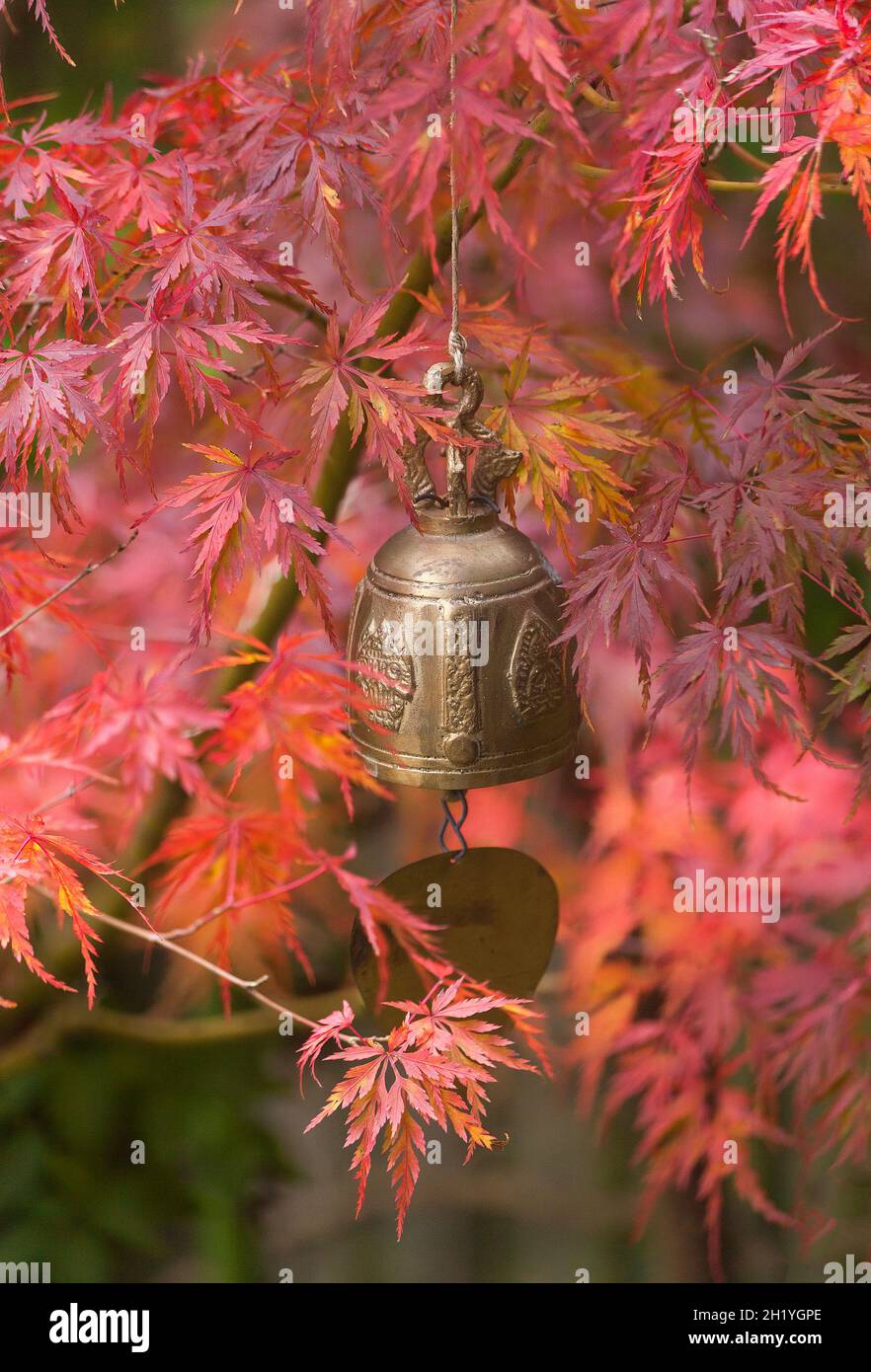 Campana da giardino ornamentale tra foglie rosse di Acer, autunno Foto Stock