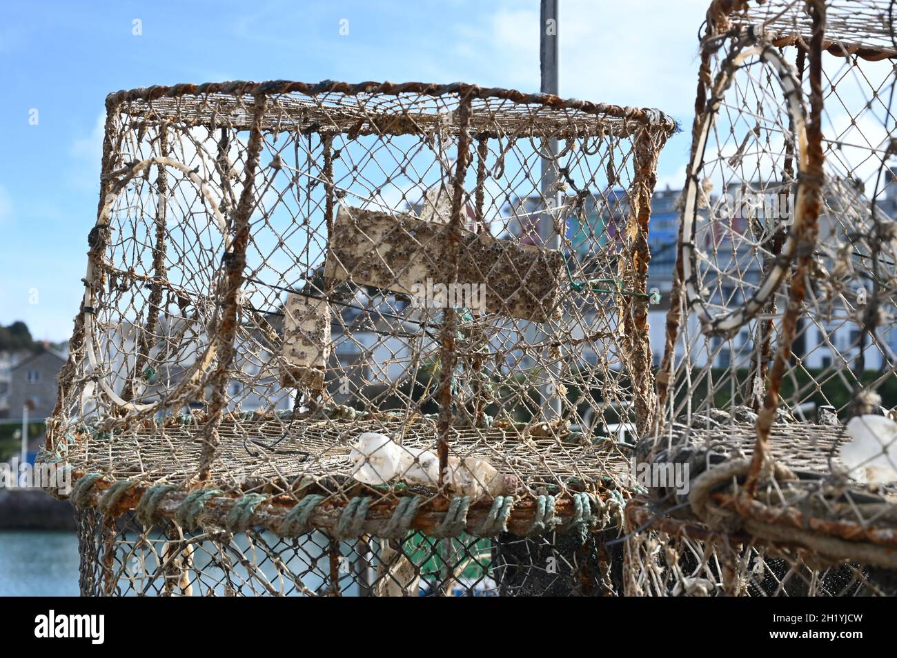 Alhoa - Gancio Aragosta Blue - Novità Home - Foto 9