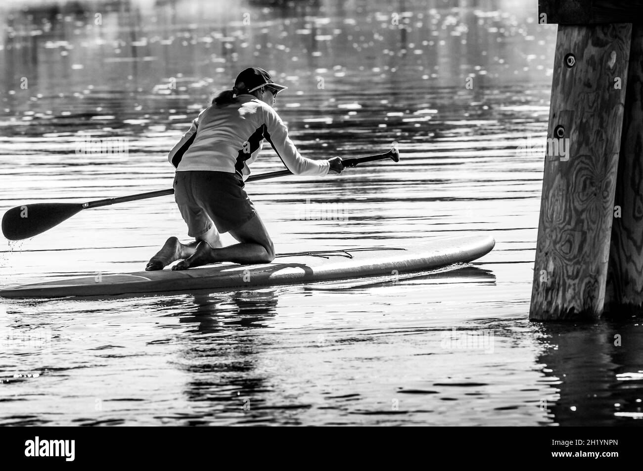 Una giovane donna sulla sua tavola da pedalò esce dalle ombre sotto il ponte e si dirige verso la luce del sole su un fiume marea di acqua salata ancora molto forte Foto Stock