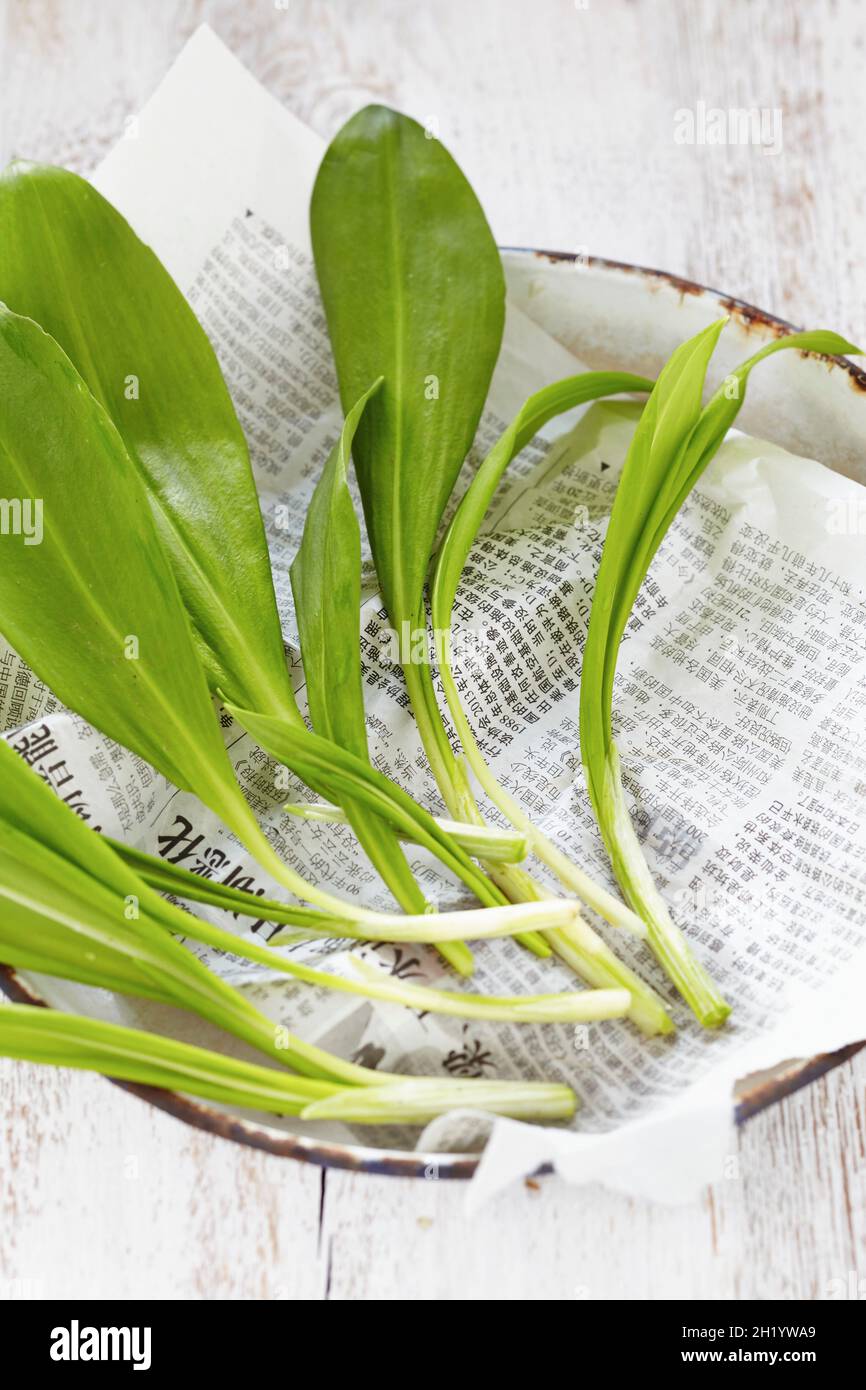 Aglio selvatico su un foglio di giornale asiatico Foto Stock