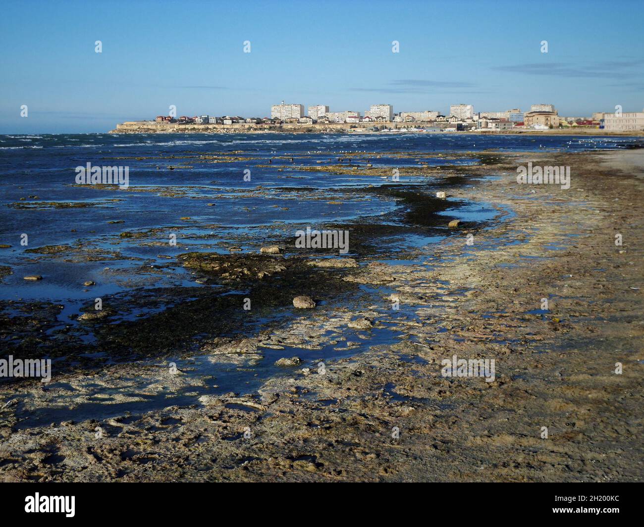 Riva paludosa del Mar Caspio. Il mare era sporco e puzzolente. Kazakistan. Regione di Mangistau. Aktau città. 05 novembre 2019 anno. Foto Stock