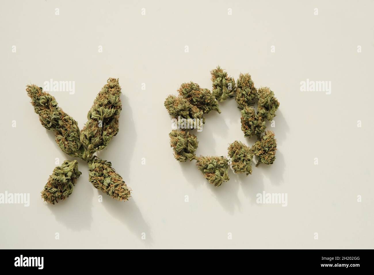 Cannabis Noights e croci. Marijuana germogli primo piano. Symbol X e O. asciuga i fiori di canapa CBD su sfondo avorio. Attività ricreative alle erbacce, vista dall'alto, piatto. Foto Stock