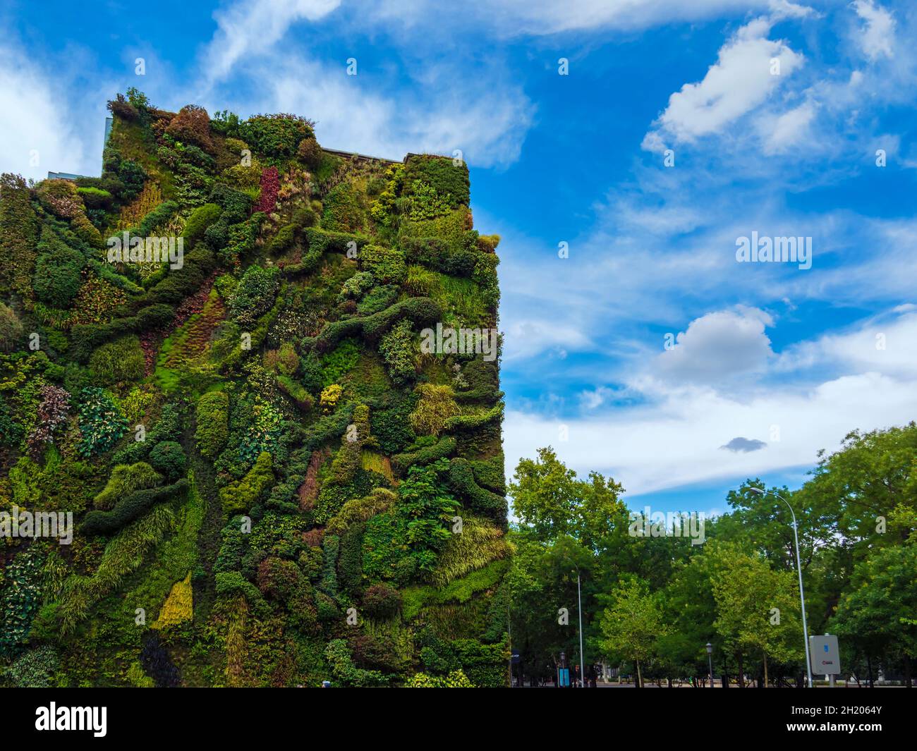 Il giardino verticale del CaixaForum contribuisce alla conservazione dell'ambiente sul Paseo del Prado di Madrid. Foto Stock