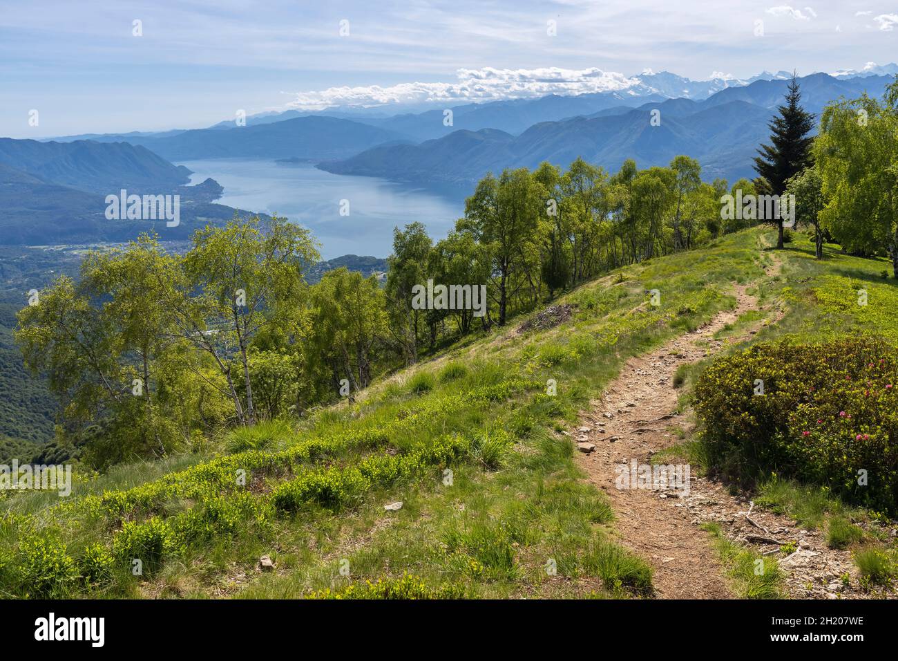 Vista sul Lago maggiore e sui monti del piemonte dalla cima del Monte Lema. Dumenza, distretto di Varese, Lombardia, Italia. Foto Stock