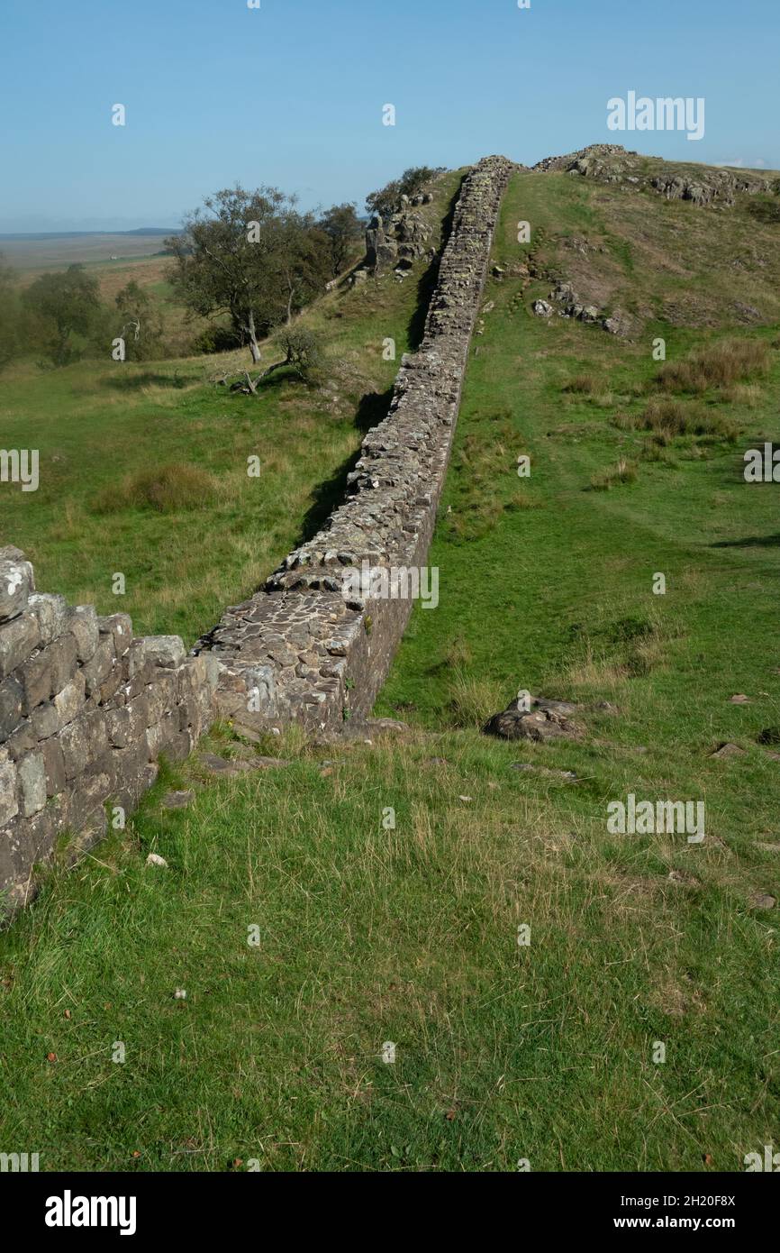 Hadrians Wall nel Northumberland National Park Inghilterra. Il Vallo di Adriano è lungo 84 km (135 miglia) Foto Stock