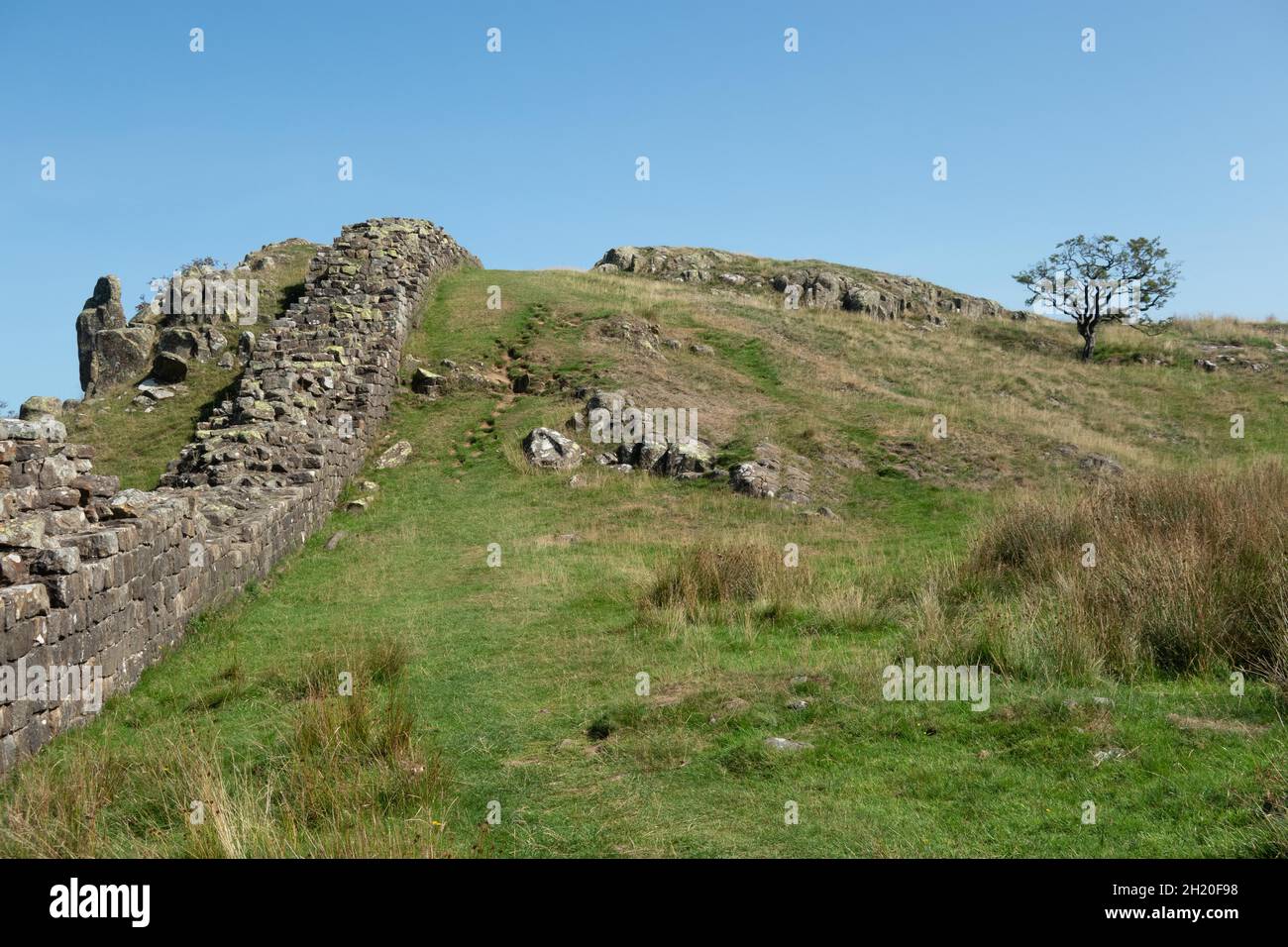 Hadrians Wall nel Northumberland National Park Inghilterra. Il Vallo di Adriano è un sentiero nazionale lungo 84 miglia (135 km) Foto Stock