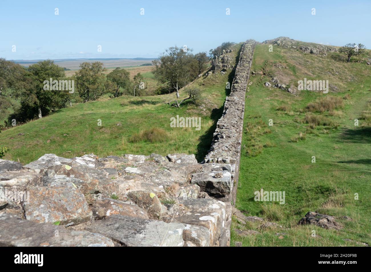 Hadrians Wall nel Northumberland National Park Inghilterra. Il Muro di Adriano è lungo 84 mil (135 km) Foto Stock