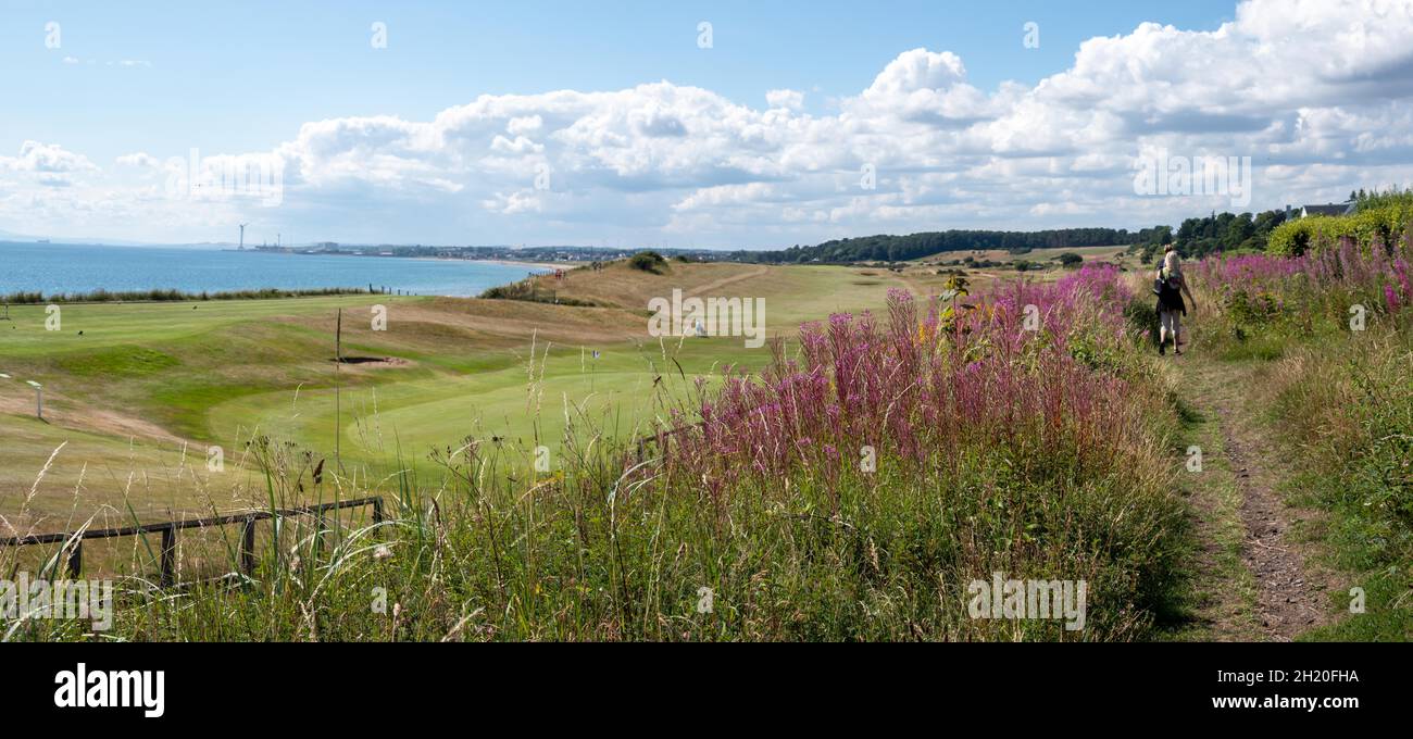 Camminando accanto a Lundin Links sul sentiero costiero fife Scotland UK Foto Stock