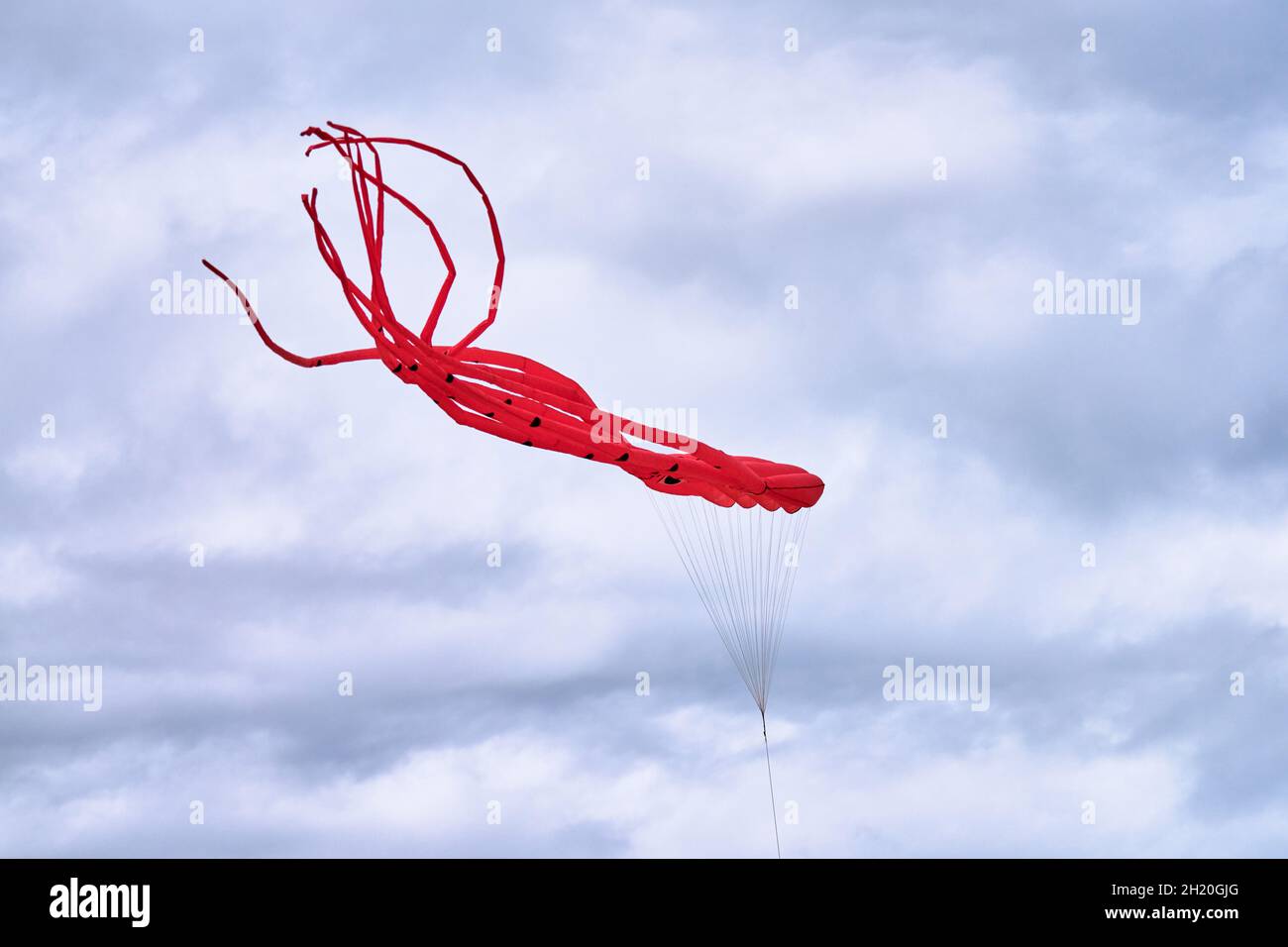 Grande polpo di kite rosa rosso che vola sullo sfondo di un bel cielo  azzurro nuvoloso, aquilone rosso a forma di polpo, festival di aquilone,  mare. Svetlogorsk, K Foto stock - Alamy