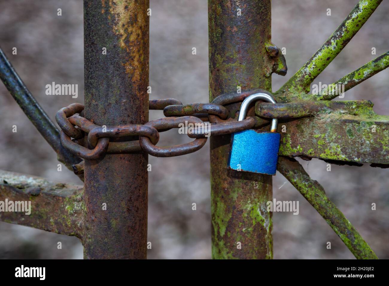 Vecchio cancello arrugginito e invecchiato. Porta stagna bloccata con lucchetto. Bloccare e chiudere. Foto Stock