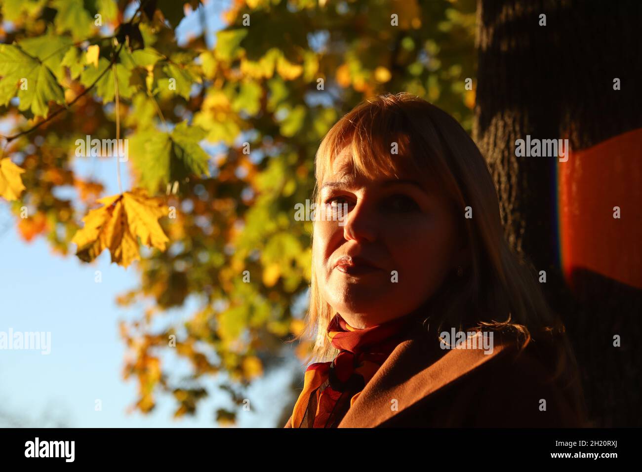 Ritratto di bella donna bionda caucasica nel colorato parco d'autunno in acero giallo. Donna brillante ed elegante in cappotto vicino al tronco dell'albero. Ciao concetto di caduta Foto Stock