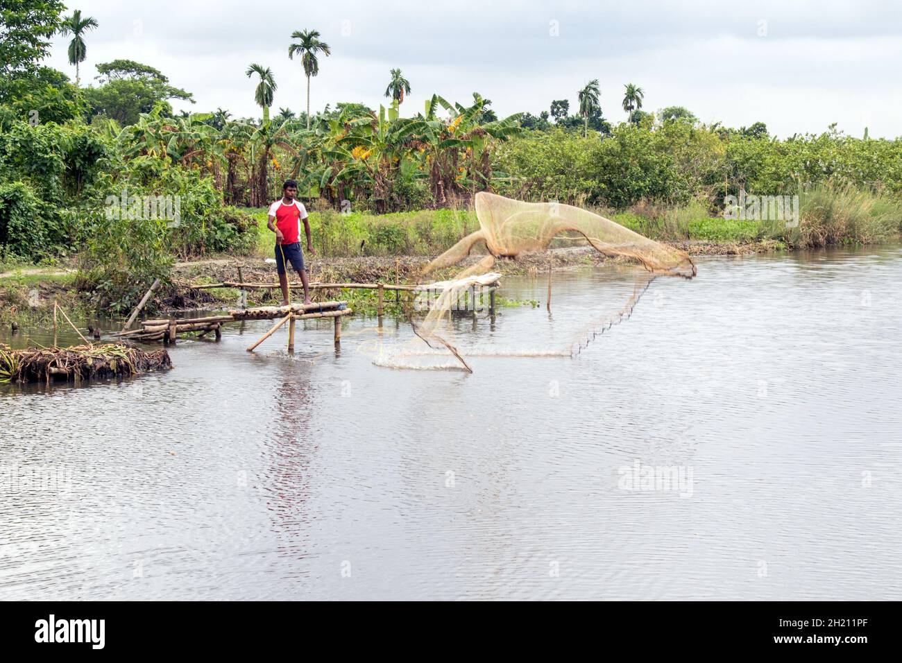 pesca nella zona rurale occidentale del bengala india Foto Stock