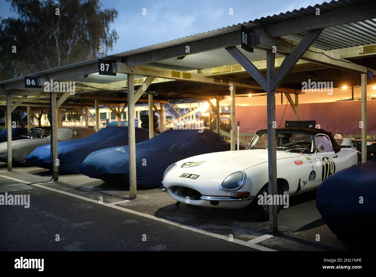 Ottobre 2021 - i veicoli Jaguar e-TYPE si trovano nel paddock all'alba per il covid Delayed Goodwood Members Meeting 78. Foto Stock