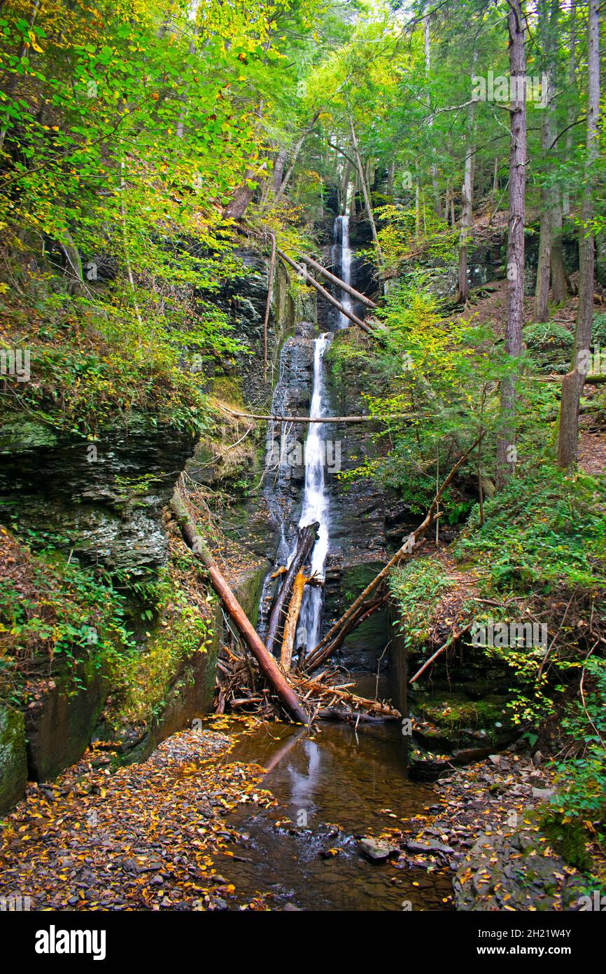 Silver thread Falls a Dingmans Ferry, Pennsylvania, a metà autunno pomeriggio, vista attraverso colori lussureggianti fogliame con lunga esposizione sfocata -01 Foto Stock