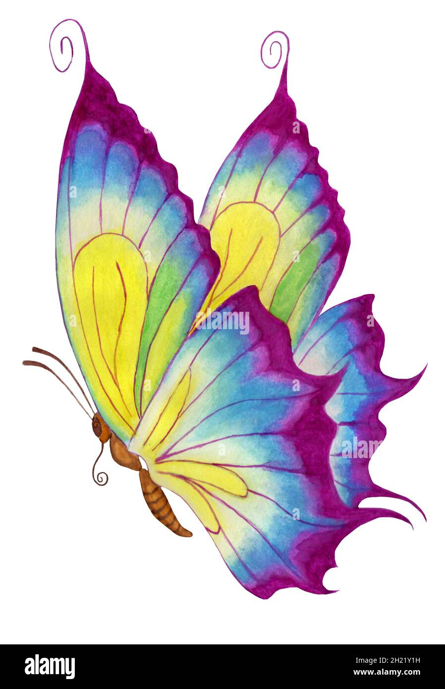 Illustrazione dell'acquerello della farfalla viola. Isolato su sfondo bianco. Farfalla per bambini con ali colorate. Disegnata a mano su carta. Foto Stock