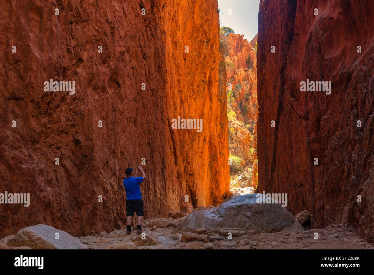 Maschio avventuroso che fa una foto delle scogliere rocciose di Standley Chasm in Australia Foto Stock