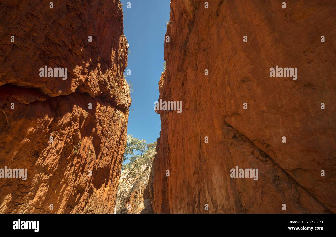 Splendida vista dello Standley Chasm durante l'alba nel West MacDonnell National Park Foto Stock