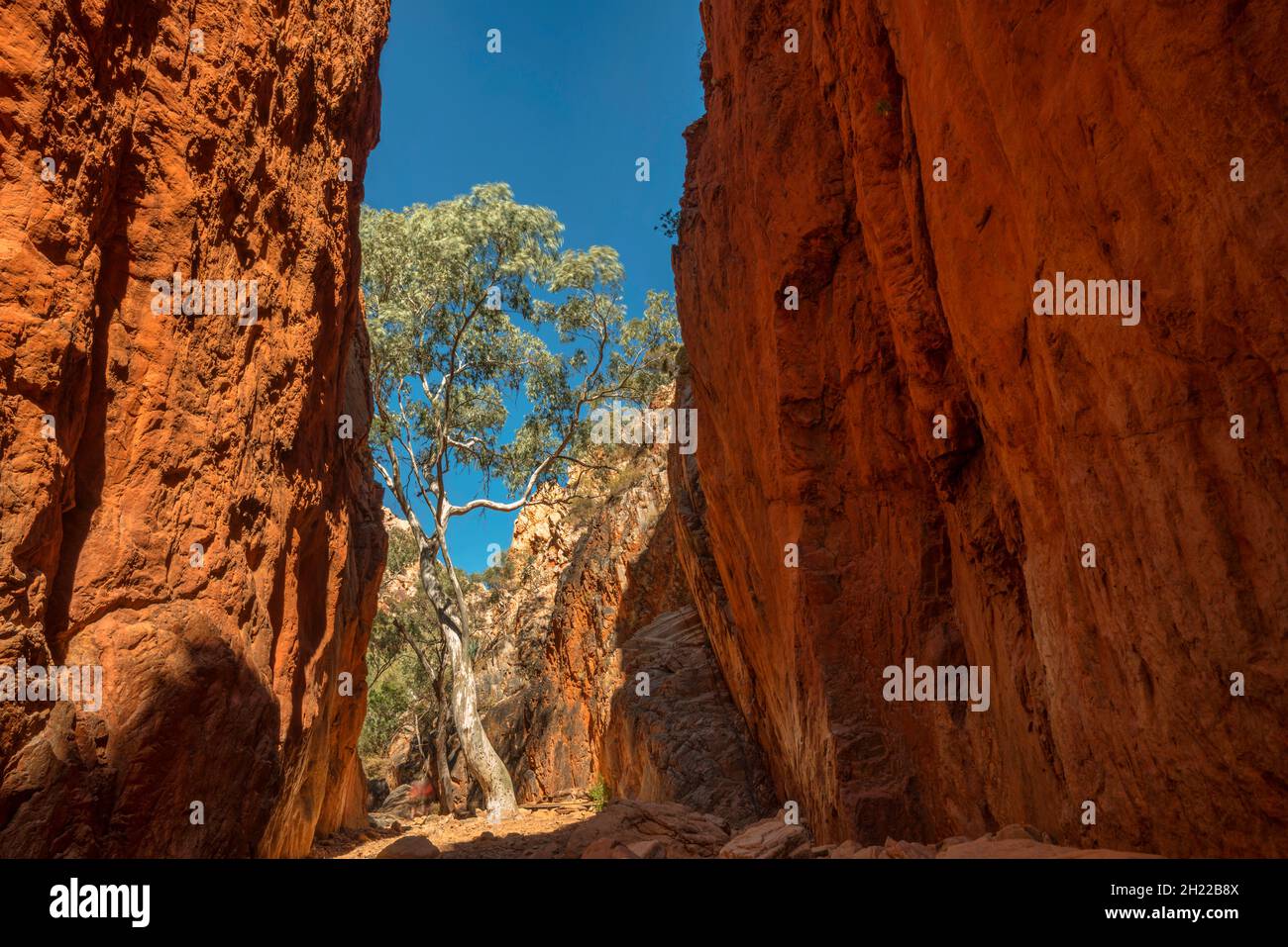 Splendida vista dello Standley Chasm durante l'alba nel West MacDonnell National Park Foto Stock