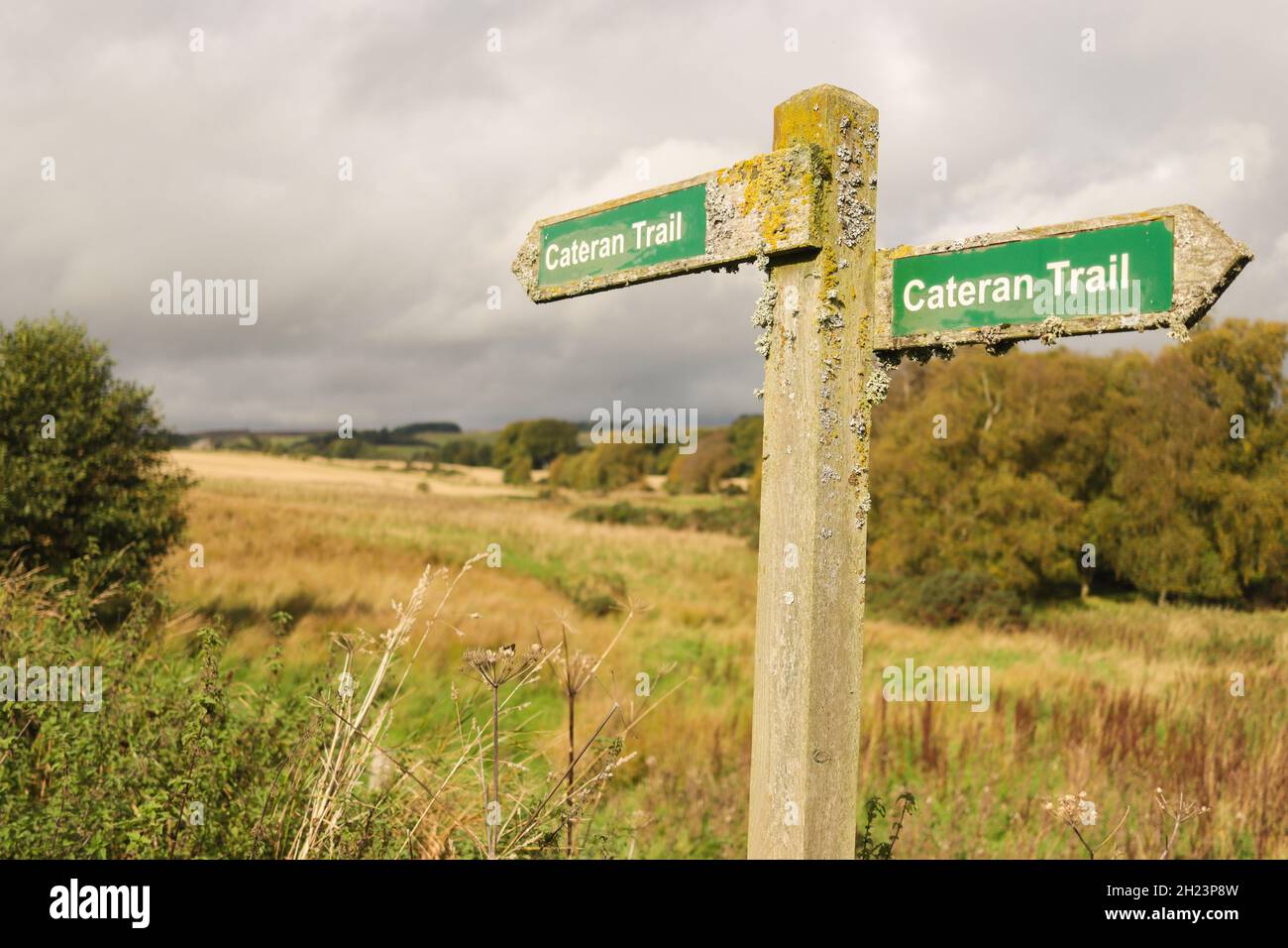 Il Cateran Trail è una passeggiata circolare lunga distanza di 64 miglia nel Perthshire. Inizia e termina a Blairgowrie ed è molto ben segnato. La foto Foto Stock