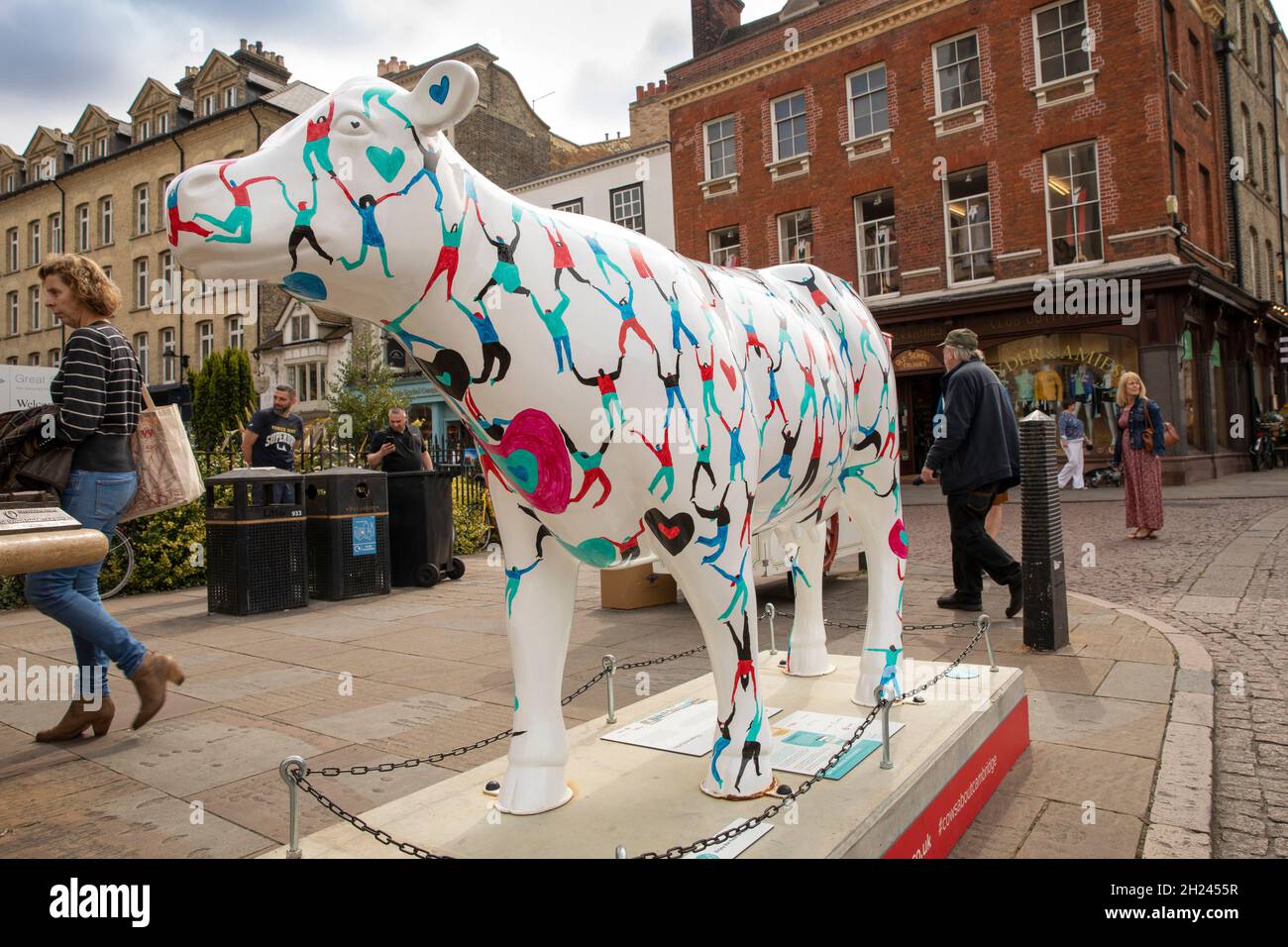 Regno Unito, Inghilterra, Cambridgeshire, Cambridge, King’s Parade, Progetto d’arte Cows on Parade, vacca ‘Strength in numbers’ di Emily Pettitt Foto Stock