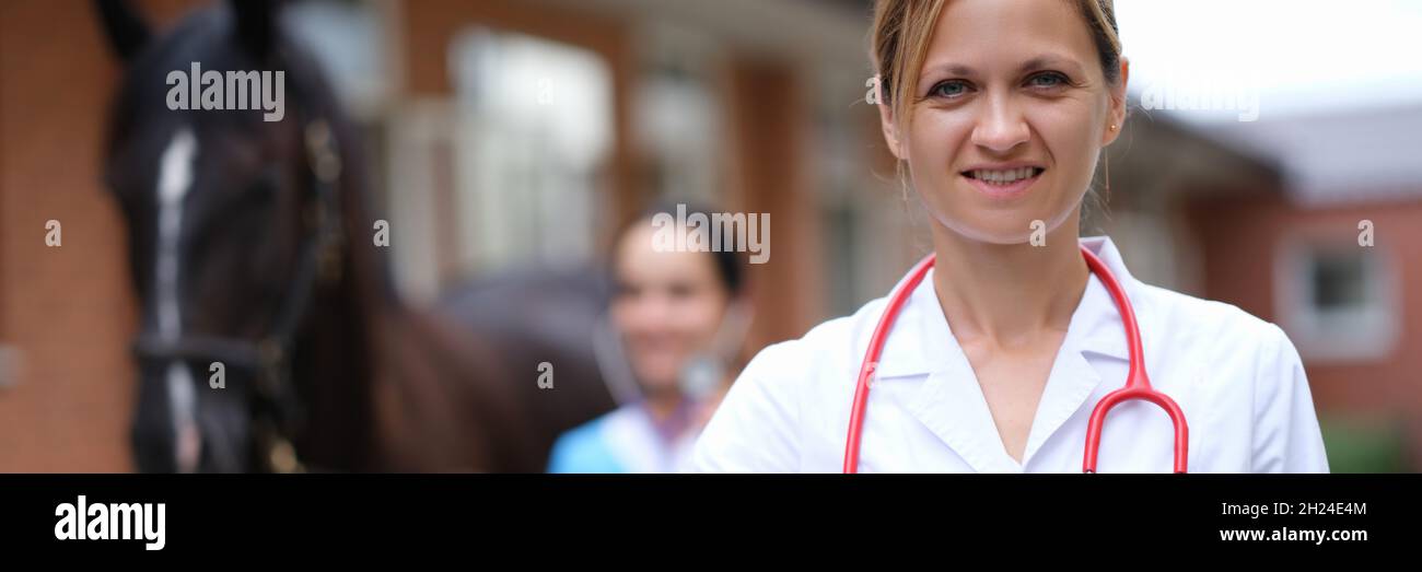 Veterinario conduce visita medica del cavallo closeup Foto Stock