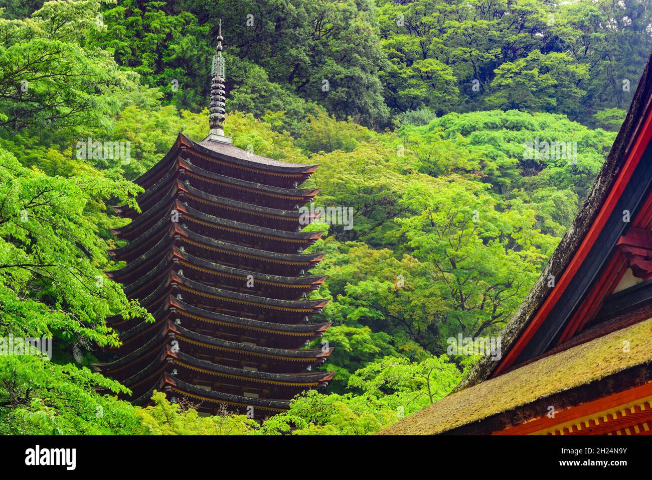 La pagoda del Santuario di Tanzan Jinja, l'unica a 13 piani esistente, Nara, Giappone. Foto Stock