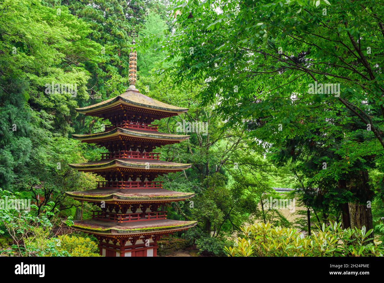 Maestosa pagoda a 5 piani nella natura, Uda, Nara, Giappone. Foto Stock