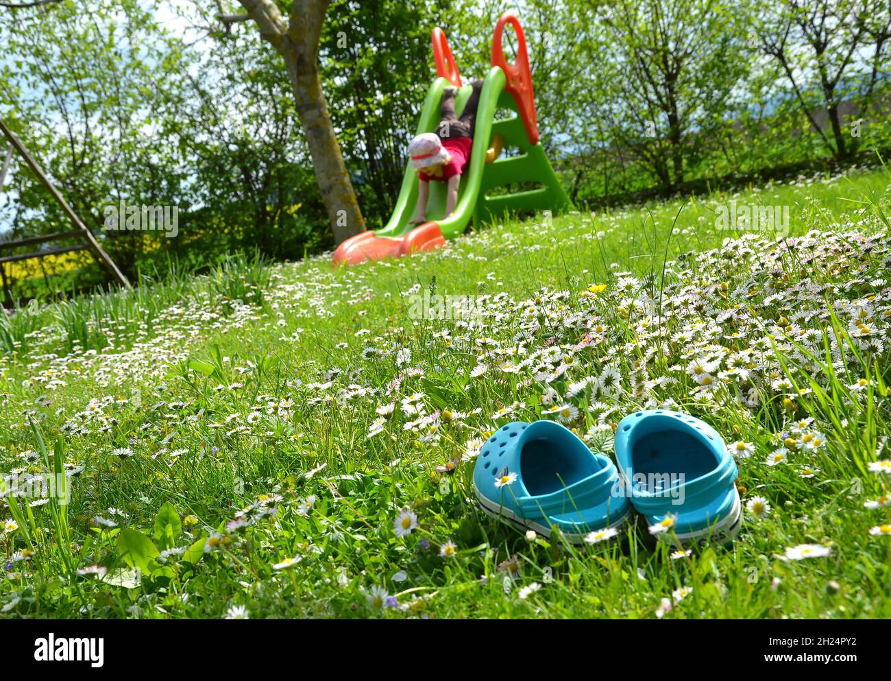 Eine Frühlingswiese mit Gänseblümchen und einer Rutsche lädt zum Spielen ein - un prato primaverile con margherite e bambini la diapositiva ti invita a giocare Foto Stock